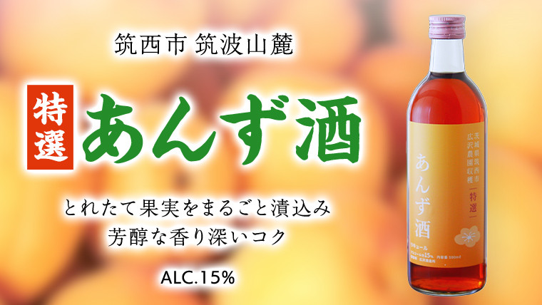 
【 特選 】 あんず酒 アルコール 15％ （ 500ml × 1本 ） 果実酒 お酒 酒 あんず [DP004ci]
