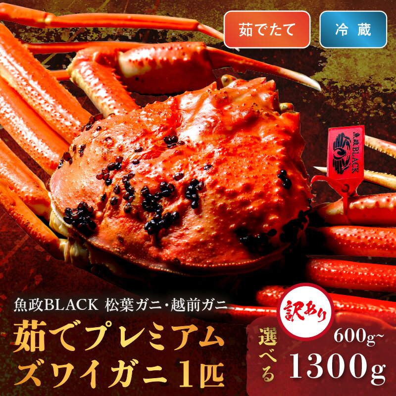 【ふるさと納税】訳あり 【蟹の匠 魚政】茹で　プレミアムズワイガニ 魚政BLACK(松葉ガニ・越前ガニ) 小サイズ(600～700g)～特大サイズ(1200～1300g) 1匹 (11月～12月発送) (2026年1月～発送) 選べる 内容量 配送期間