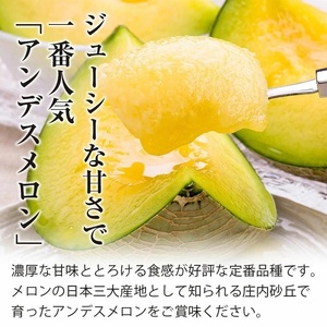 【令和7年産先行予約】 秋どりアンデスメロン 1玉 (3Lサイズ) 山形県鶴岡市産 庄内砂丘メロン　小林ファーム