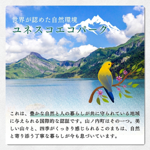 りんご 志賀高原 秋映 秀16玉 5kg りんご