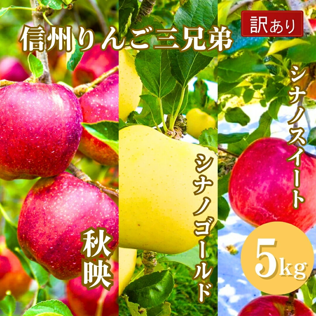 【ふるさと納税】【2025年先行予約】訳あり りんご3種詰め合わせ りんご三兄弟（秋映・シナノスイート・シナノゴールド）計約5kg 林檎 あきばえ 食べ比べ セット 千曲市 長野県産 信州
