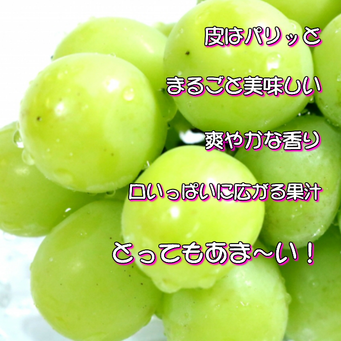 糖度!シャインマスカット!約2kg＜2024年8月中旬より順次発送＞ギフトにも岡山県産ぶどう! TY0-0001