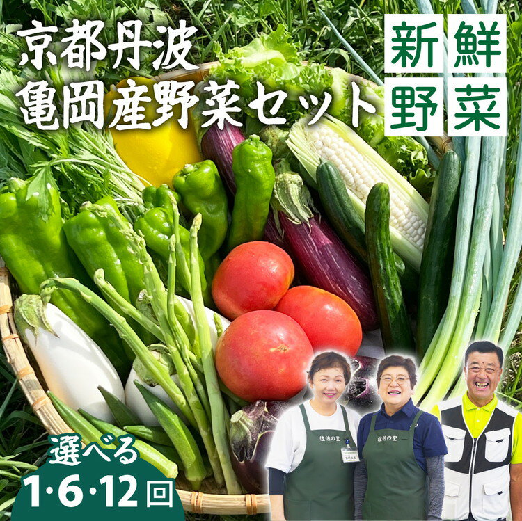 【ふるさと納税】【70th記念 年末感謝！】高評価★4.6 野菜 定期便［選べる 6回 隔月6回 12回］京都佐伯の里 新鮮 旬の野菜セット 7～10品 丹波亀岡産 季節の野菜 詰め合わせ｜産地直送 お試し 6ヶ月 12ヶ月 訳あり ふるさと納税 1万円以下 ふるさと納税定期便【特別規格】