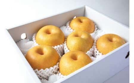 和歌山県産の梨 約2kg  【8月中旬から9月上旬までに順次発送】【BG005-mat103A】