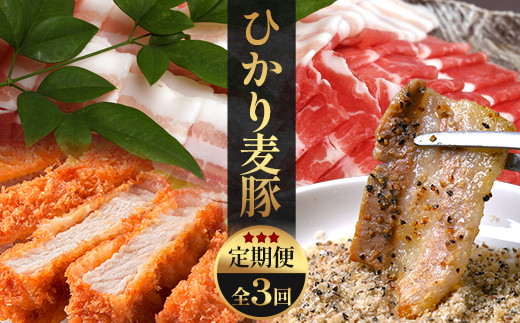 《先行受付～2026年1月中旬より順次発送～》【定期便全3回】ひかり麦豚定期便 ≪月替わりで楽しむ豚肉セット！しゃぶしゃぶ・ロース肉・焼肉セットをお届け！≫ 冷凍 HM-18 | 肉 お肉 にく 豚肉 精肉 焼き肉 焼肉 やきにく バーベキュー ロース肉 肩ロース バラ肉 生姜焼き とんかつ しゃぶしゃぶ 真空冷凍 産地直送 小分け パック 手作り 鹿児島県 南大隅町 ひかり麦豚直売所