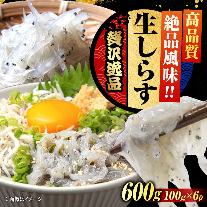 【ふるさと納税】鮮度抜群 生しらす100g×6個 しらす 冷凍 シラス 小分け 干し 釜揚げ 冷凍 シラス 小分け パック 干し 魚介類 鮮魚 海鮮 海産物 セット 詰め合わせ ギフト 広島県産 人気 送料無料 江田島市/三島水産株式会社[XCN005]