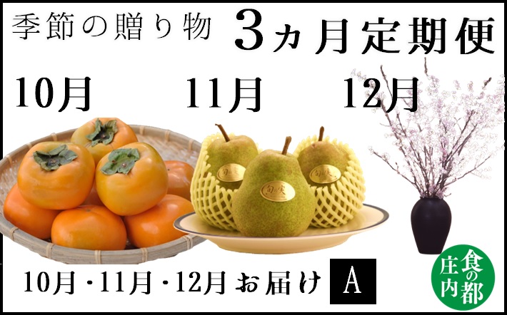 食の都庄内【令和7年産】《10・11・12月お届け-A》季節の贈り物-3ヶ月定期便