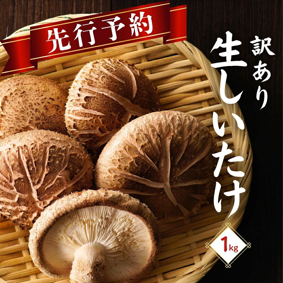 【ふるさと納税】 先行予約・訳あり／ 大分県産 しいたけ 津久見で育てた肉厚生しいたけ 1kg　|　津久見市 椎茸 菌床しいたけ シイタケ きのこ 冷蔵 大分県 九州 国産 産地直送 家庭用 送料無料 【創造工房】