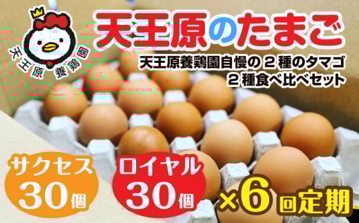 【定期便】6回定期 【天王原のたまご】 サクセス卵30個/ロイヤル卵30個 【定期便 6回定期便 セット たまご 卵 玉子 タマゴ 濃厚 食べ比べ ハリ 弾力 ボリューム 甘味 旨味 卵黄 風味 生 コク 甘味 卵かけご飯 卵焼き 目玉焼き オムレツ 茶碗蒸し お菓子作り パンの材料】