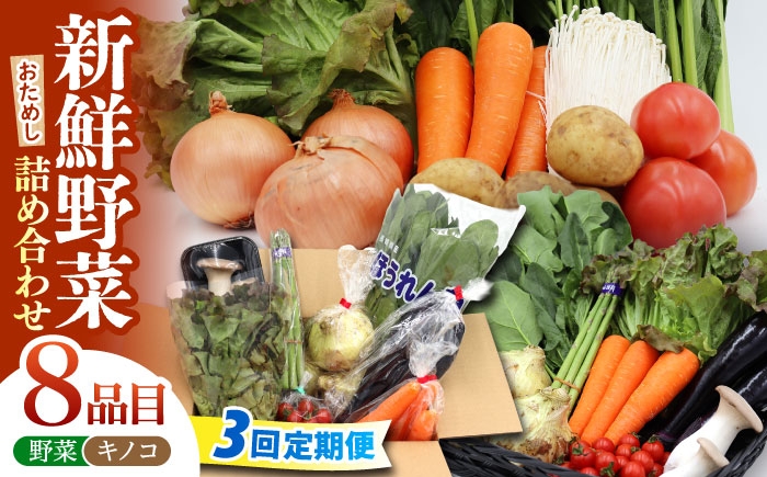 
                  野菜 定期便【3回定期便】お試し野菜セット 8品目 詰め合わせ / 野菜 やさい ヤサイ 旬 新鮮 野菜定期便 やさい定期便 季節 旬 野菜 きのこ 詰め合わせ 国産 定期便 野菜セット 新鮮 野菜詰め合わせ サラダ スープ 炒め物 煮物 旬野菜 おまかせセット お任せ 食材セット 宅配 産地直送 やさい 春野菜 夏野菜 秋野菜 / 南島原市 / 吉岡青果 [SCZ028]
                