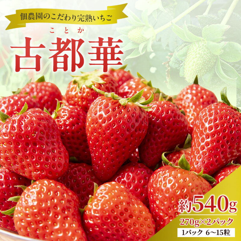 【ふるさと納税】【先行予約】いちご 完熟 古都華 約540g(270g× 2パック ) 佃農園のこだわり 高評価 フルーツ 果物 旬 産地直送 旬の果物 おやつ デザート ことか イチゴ 冷蔵 冷蔵配送 奈良県 大和郡山市　お届け：2026年1月上旬～2026年3月下旬
