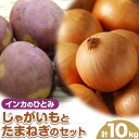 【ふるさと納税】じゃがいも（インカのひとみ）とたまねぎのセット 合計約10kg 野菜 《10月中旬から順次出荷》 橋枝物産 北海道 浦幌町