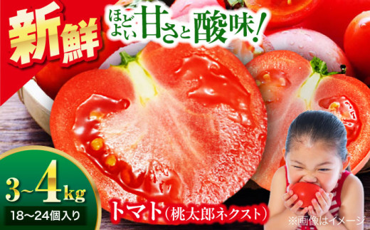 【先行予約】【4月中旬から順次発送】トマト 桃太郎ネクスト 18～24個入り（約3～4kg） 愛媛県大洲市/にのみや農園 トマト とまと tomato 野菜 旬野菜 春夏野菜 [AGDG007]
