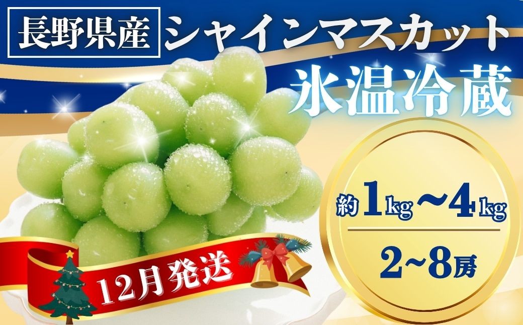 
            氷温貯蔵シャインマスカット 約1~4kg(2~8房)｜果物 フルーツ 白ぶどう 葡萄 ブドウ 種無し 種なし 皮ごと 千曲市 長野県 信州
          