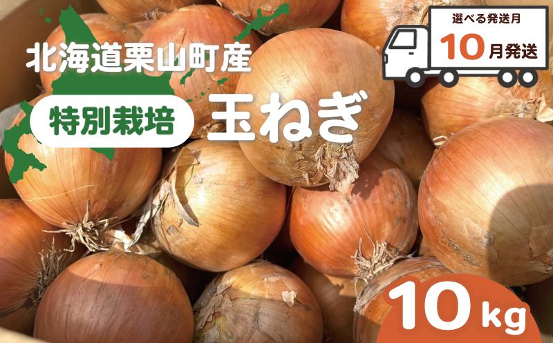 【10月発送】サラダにもOK！減農薬玉ねぎ10kg　
