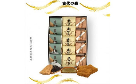 古代の森 和菓子の詰め合わせ【 和菓子 和菓子 和菓子 和菓子 和菓子 和菓子 】
