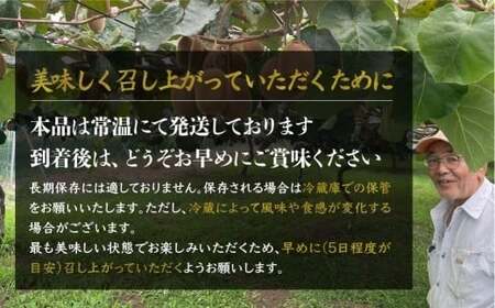 キウイフルーツ【先行予約 数量限定 11月発送】4種 2kg 12-17個 キウイ 詰め合わせ