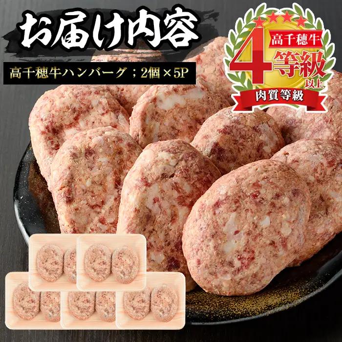 高千穂牛 ハンバーグ(計10個・2個×5P)【MT005】【JAみやざき 高千穂牛ミートセンター】