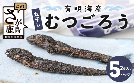 佐賀県鹿島市産 有明海 丸干しむつごろう 【2本入り×5袋セット】B-762