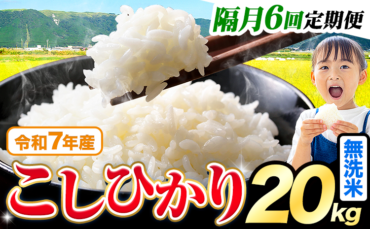 【隔月6回定期便】令和7年産 無洗米 こしひかり 20kg《お申込みの翌月出荷》熊本県産 ふるさと納税 無洗米 ひの 米 こめ ふるさとのうぜい コシヒカリ コメ お米 おこめ---reihoku_l