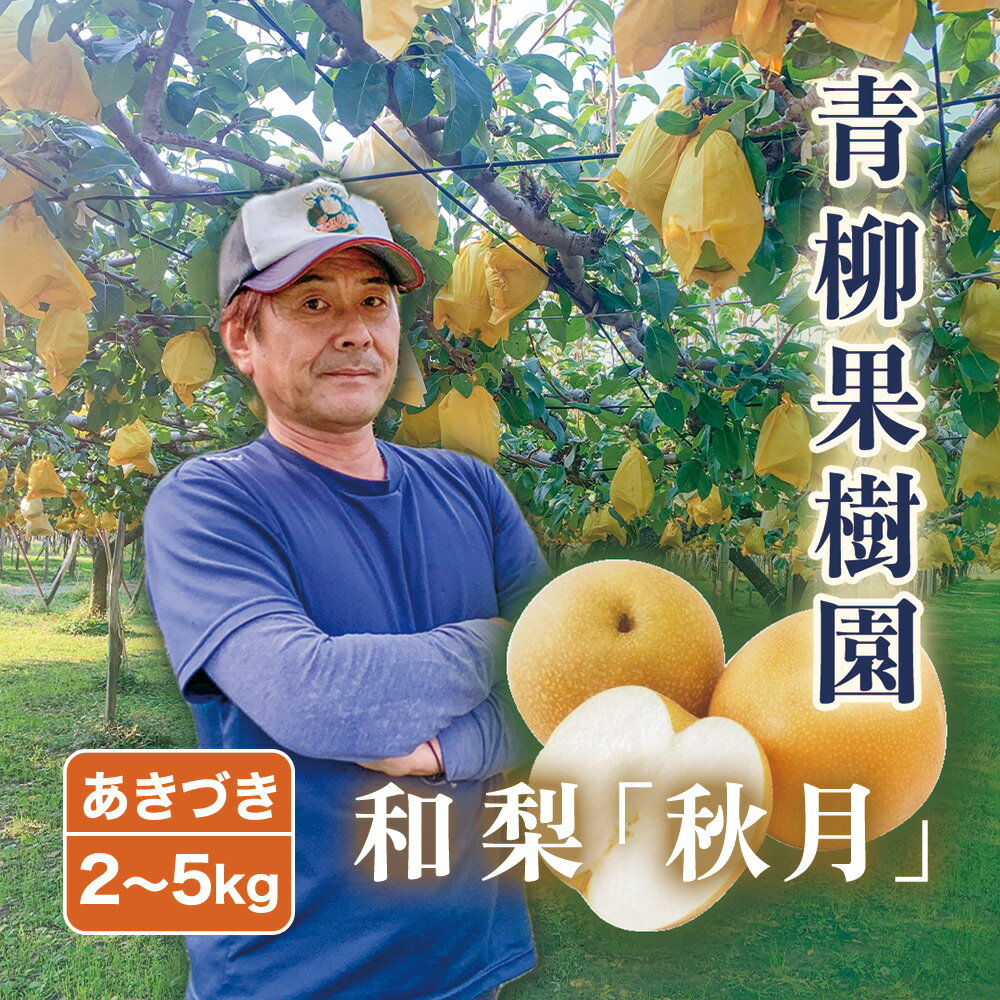 【ふるさと納税】【2025年先行予約】青柳果樹園の和梨 あきづき 選べる「2kg」or「3kg」or「5kg」《9月中旬から出荷》 果物 秋月 フルーツギフト 加茂市 青柳果樹園