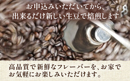 【全12回定期便】ベーシック ブレンド コーヒー 500g×2 ( 中煎り ) [VAS199]珈琲 コーヒー 