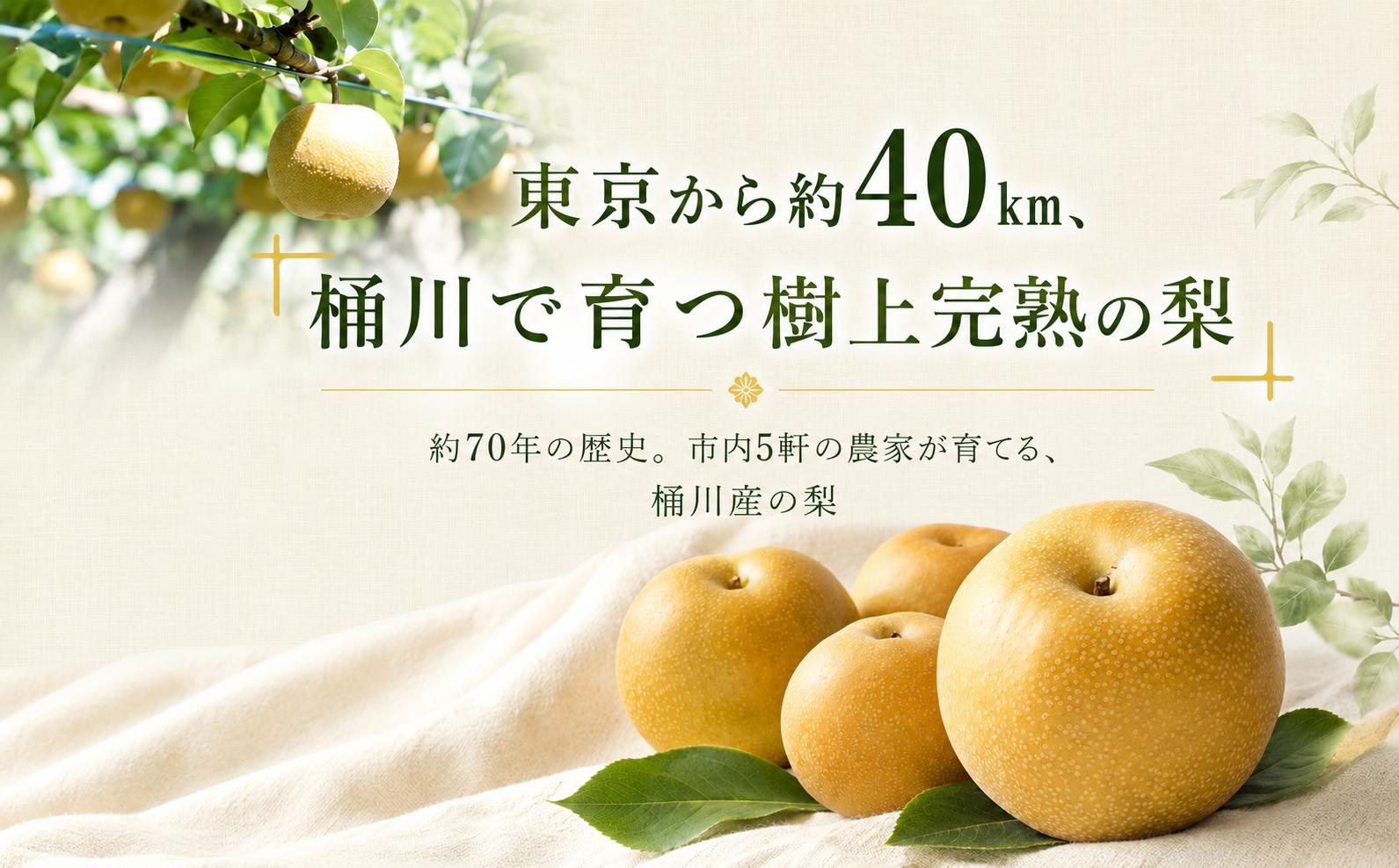 梨 なし 彩玉 さいぎょく 幸水 こうすい 豊水 ほうすい あきづき 新高 にいたか