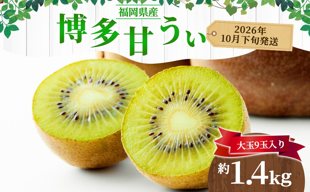 
                  福岡県産 博多甘うぃ 約1.4kg（大玉9玉入り）キウイフルーツ キウイ 【2026年10月下旬～11月下旬発送予定】
                