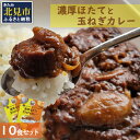 【ふるさと納税】濃厚！ほたてと玉ねぎのカレー10食分 ( 加工品 レトルト カレー 海鮮 ホタテ バター 辛さもマイルド 人気 カレー専門店 )