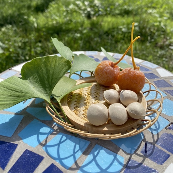桃山ぶどう園の『ぎんなん(殻付き)』Ｌサイズ　約1kg　※北海道・沖縄・離島への配送不可　※2025年11月上旬頃より順次発送予定_イメージ3