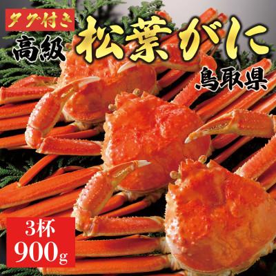 ふるさと納税 琴浦町 【2025年12月〜2026年1月発送】特撰 松葉がに(茹)【タグ付き】900g3杯 N57_Y