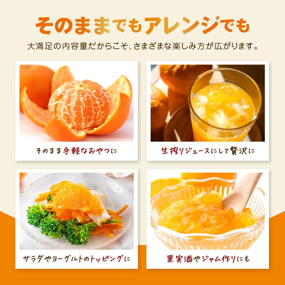 【訳あり】和歌山みかん 約9.5kg+補償分約500g サイズ混合 11月より順次発送 訳ありみかん 【red1】