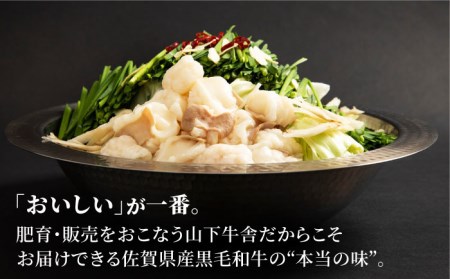 【全12回定期便】佐賀県黒毛和牛 もつ鍋セット2?3人前 HAD142 