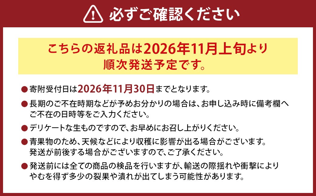 にしだ果樹園の熊本県産月読みゴールドキウイ サイズ混合 約2kg