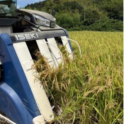 ふるさと納税 君津市 君津市小山野産「山名郷米」 粒すけ(無洗米)　5kg　 |  | 02