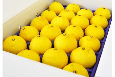 B51-12 はるか(約4.5㎏)