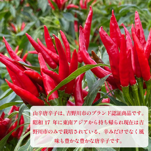 唐辛子 一味唐辛子 山辛唐辛子 粉末 実 各15g 唐辛子 唐辛子 唐辛子