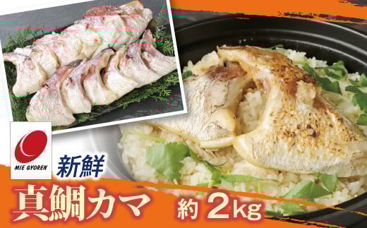 新鮮真鯛カマ（約2Kg）　M079-011-02