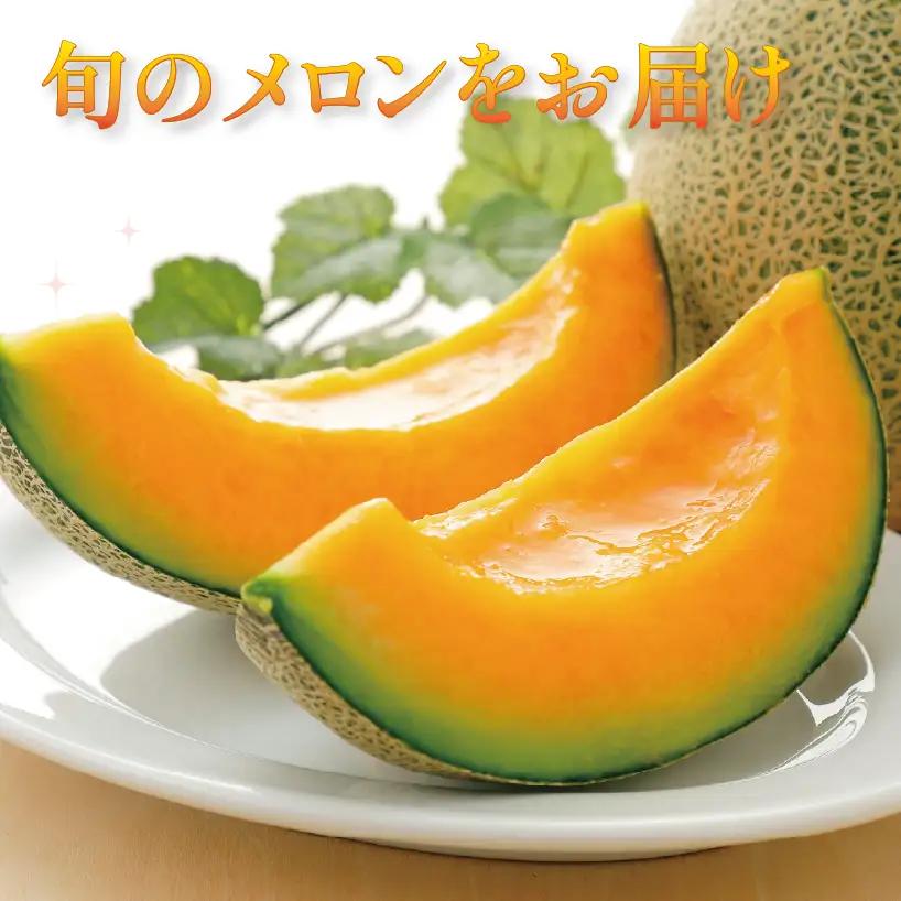 タカミレッドメロン 2玉 メロン 先行予約