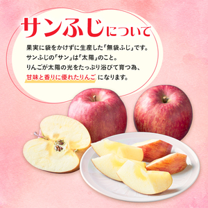 サイキチ農園 サンふじ 約 3kg (8～11玉)  青森県鰺ヶ沢町産 りんご リンゴ  フルーツ 果物 果物類 林檎 