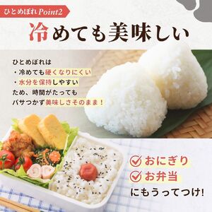 令和7年産　涌谷町産ひとめぼれ　玄米　30㎏【ooizumi006】