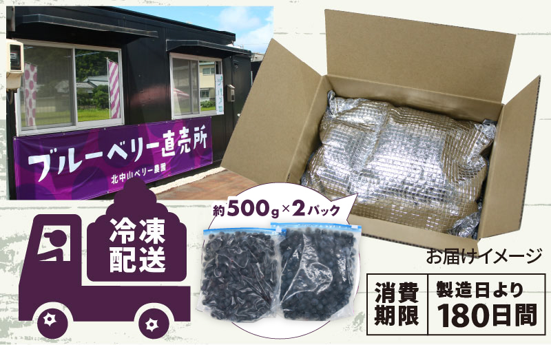 【先行予約】【7月中旬以降順次発送】【訳あり】令和8年産〈冷凍〉手摘み有機ブルーベリー1kg（500g × 2パック）