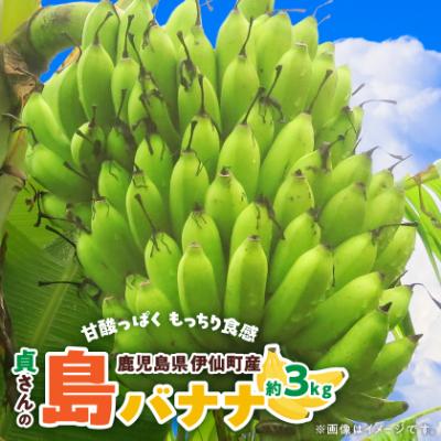 ふるさと納税 伊仙町 貞さんの島バナナ約3kg