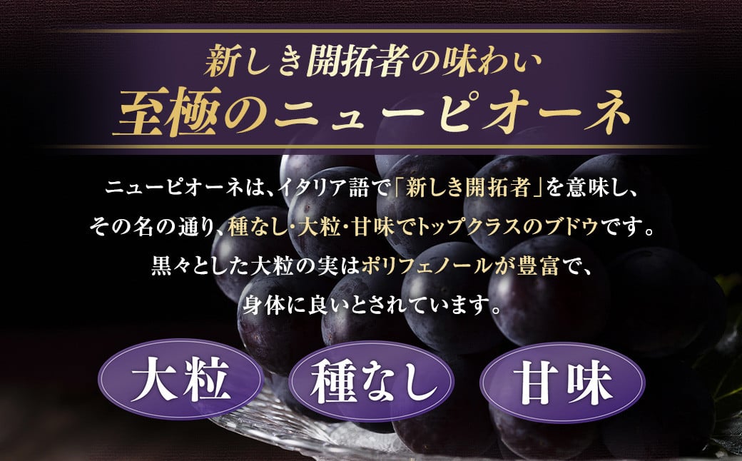 【定期便3回】 ［種なし］ 岡山県産 ニューピオーネ ・ クイーンニーナ ・ シャインマスカット 1kg箱（2房入り）