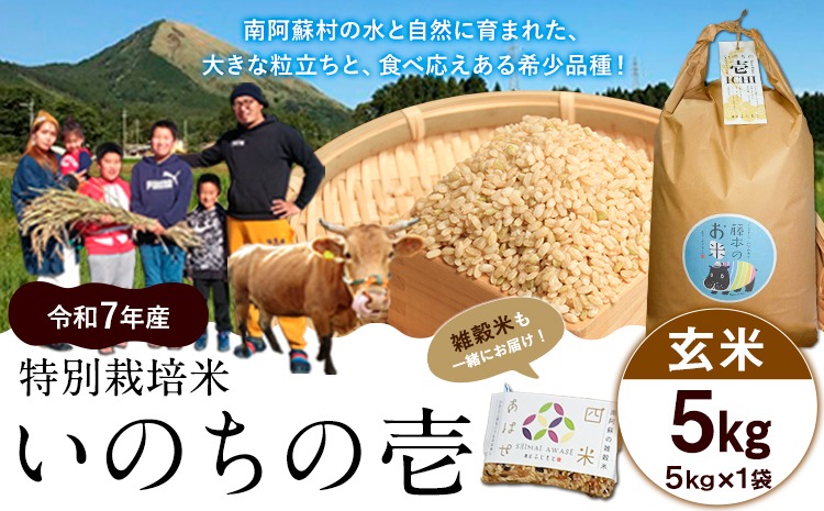 新米 令和7年産 特別栽培米 いのちの壱(玄米)5kg×1 雑穀米付き《10月中旬-11月下旬頃出荷》 熊本県 南阿蘇村 熊本県産 虹色のかば 雑穀米---sms_inci6_k1011_r7_16000_g5kg---