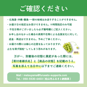 【7月下旬頃から発送】 シャインマスカット 約1.1kg ( 2~3房 ) 数量選択可 ＜ 贈答用 ＞ | ぶどう シャインマスカット 贈答 皮ごと 種なし 数量限定 愛媛県産 松山市 MN005【M