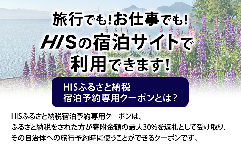 HISふるさと納税宿泊予約専用クーポン（北海道洞爺湖町）【30,000円分】 宿泊 ホテル 観光 