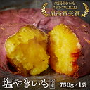 【ふるさと納税】No.098 冷凍焼き芋　塩やきいも　★全国やきいもグランプリ受賞（750g×1袋） ／ 焼芋 当店人気No.1 桜島溶岩石 自然解凍可 絶品 濃厚 甘い 塩味 名物 成紅はるか使用 送料無料 東京都