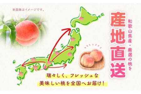 桃 紀の里の桃 約2kg