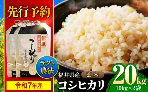 【 先行予約 /9月中旬から発送】　【令和7年産】 福井県産 ラクト農法 コシヒカリ 玄米 10kg×2 （20kg） / 小浜市 / 北川博司 [BFDG007]